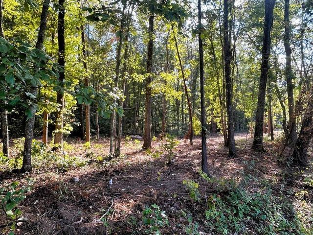 Tract 4 Pleasant Hill Road, Ten Mile, TN 37880