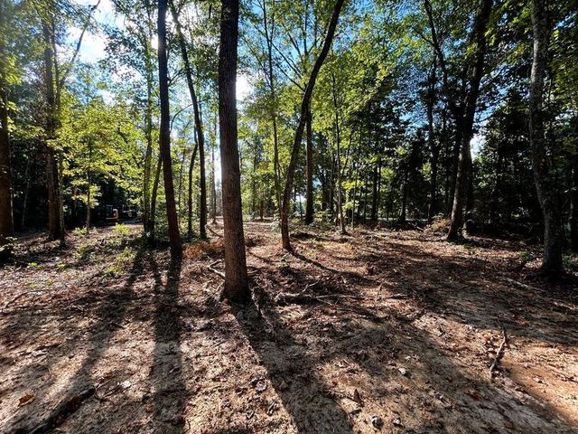 Tract 4 Pleasant Hill Road, Ten Mile, TN 37880