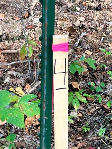 Tract 4 Pleasant Hill Road, Ten Mile, TN 37880