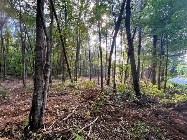 Tract 4 Pleasant Hill Road, Ten Mile, TN 37880