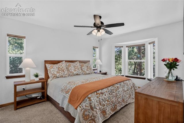 341 Rainbow Trail, Divide, CO 80814