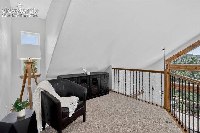 341 Rainbow Trail, Divide, CO 80814