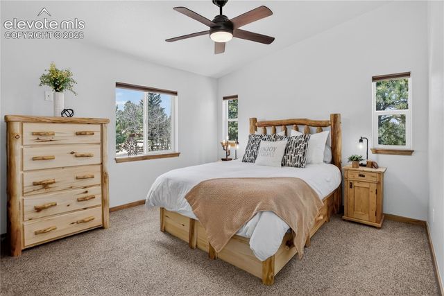341 Rainbow Trail, Divide, CO 80814