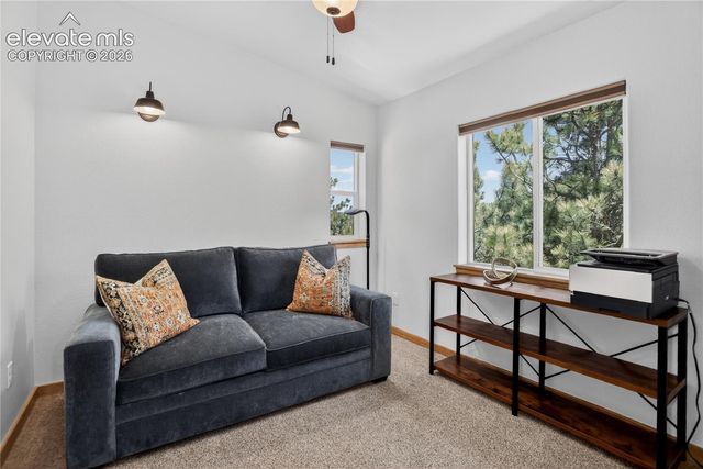 341 Rainbow Trail, Divide, CO 80814