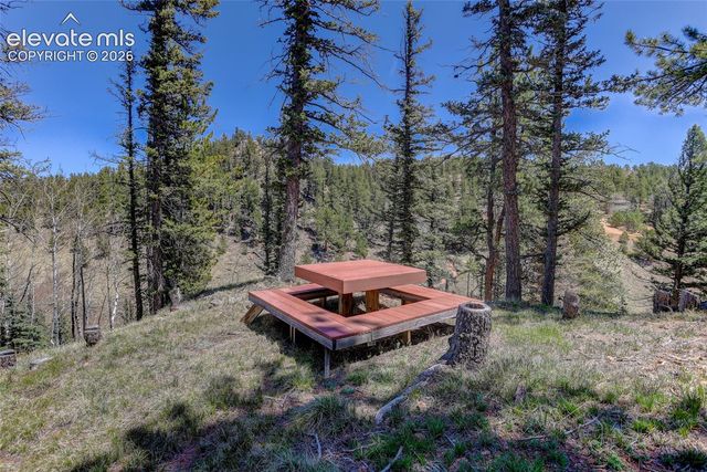 341 Rainbow Trail, Divide, CO 80814