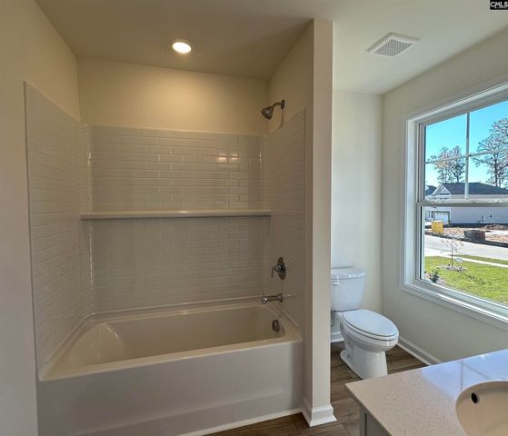 530 Griffon Drive, Chapin, SC 29036