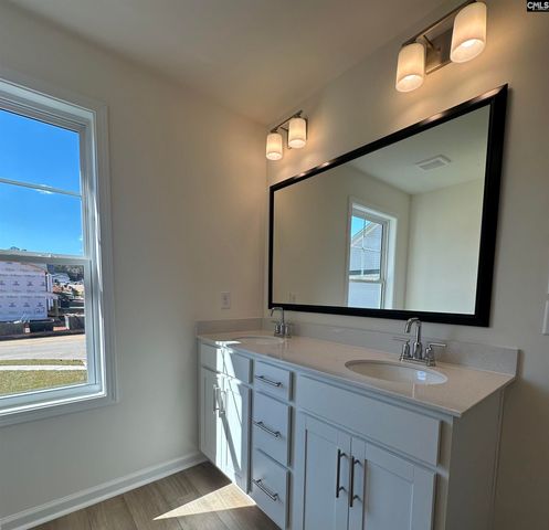 530 Griffon Drive, Chapin, SC 29036