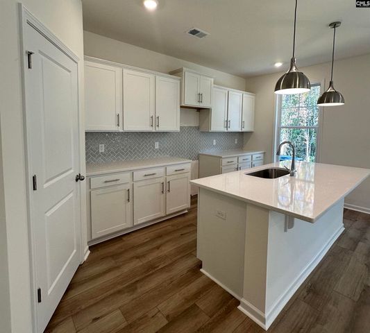 530 Griffon Drive, Chapin, SC 29036