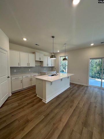 530 Griffon Drive, Chapin, SC 29036