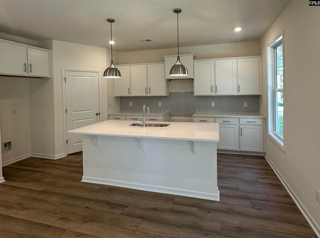 530 Griffon Drive, Chapin, SC 29036