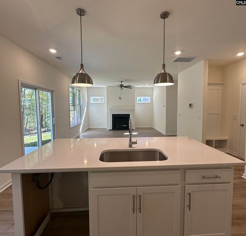 530 Griffon Drive, Chapin, SC 29036