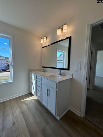 530 Griffon Drive, Chapin, SC 29036