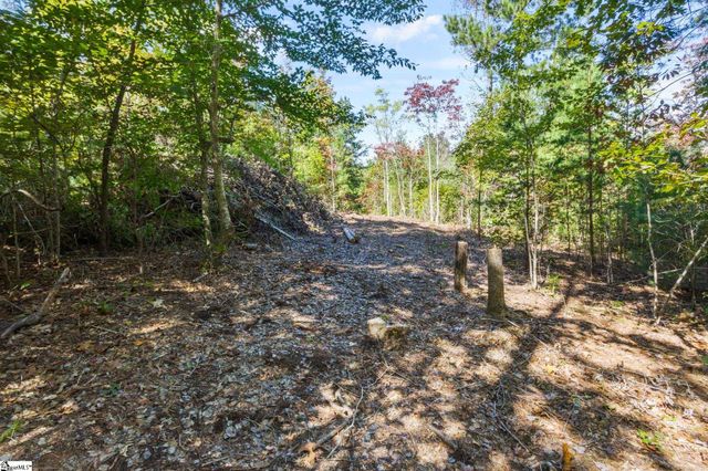 313 Arledge Road, Landrum, SC 29356