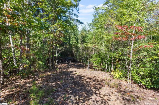 313 Arledge Road, Landrum, SC 29356