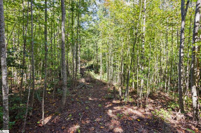313 Arledge Road, Landrum, SC 29356