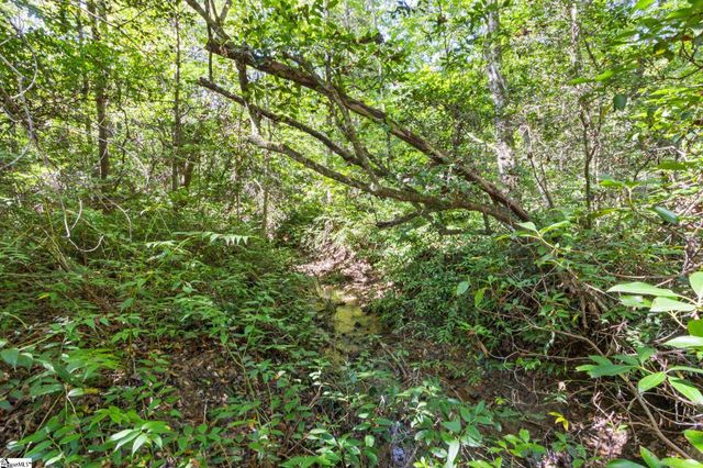 313 Arledge Road, Landrum, SC 29356
