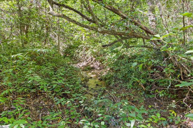 313 Arledge Road, Landrum, SC 29356