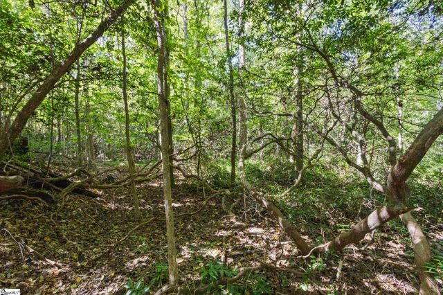 313 Arledge Road, Landrum, SC 29356