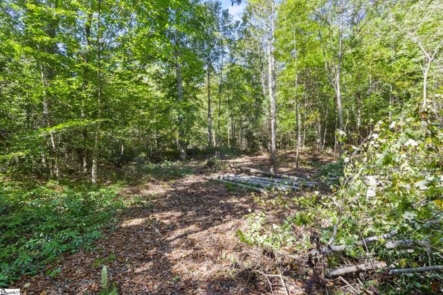313 Arledge Road, Landrum, SC 29356