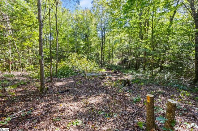 313 Arledge Road, Landrum, SC 29356