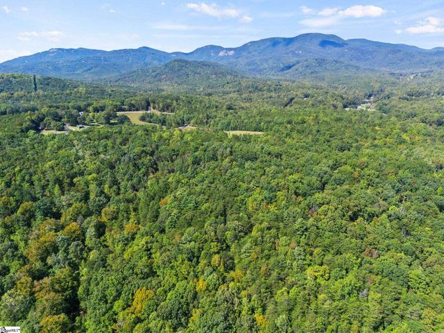 313 Arledge Road, Landrum, SC 29356