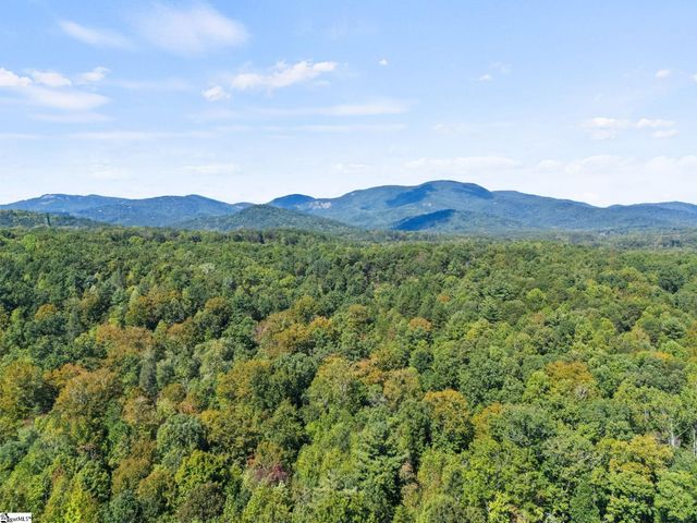 313 Arledge Road, Landrum, SC 29356