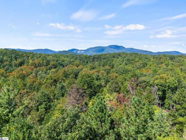313 Arledge Road, Landrum, SC 29356