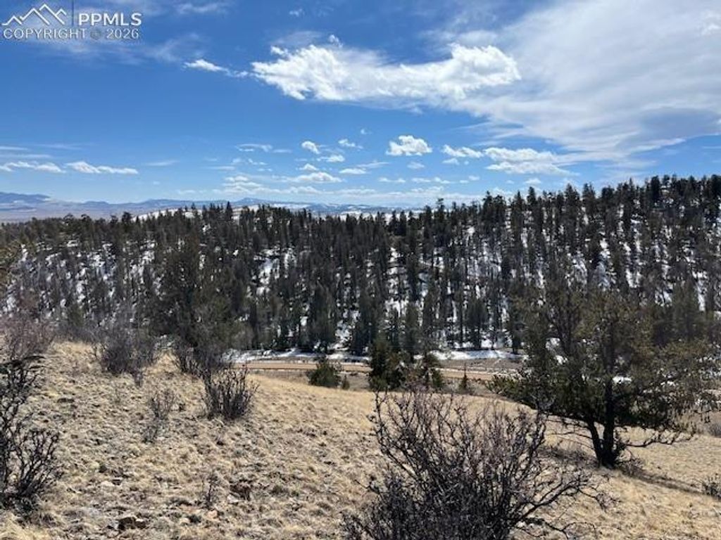697 Summit Road, Hartsel, CO 80449 — photo 2