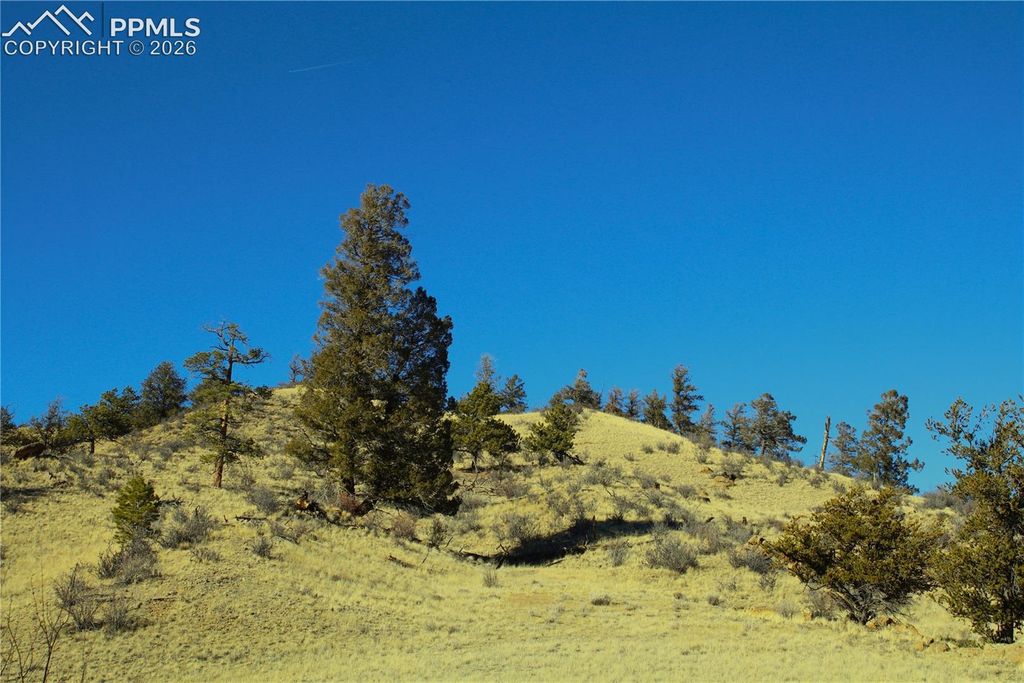 697 Summit Road, Hartsel, CO 80449 — photo 3