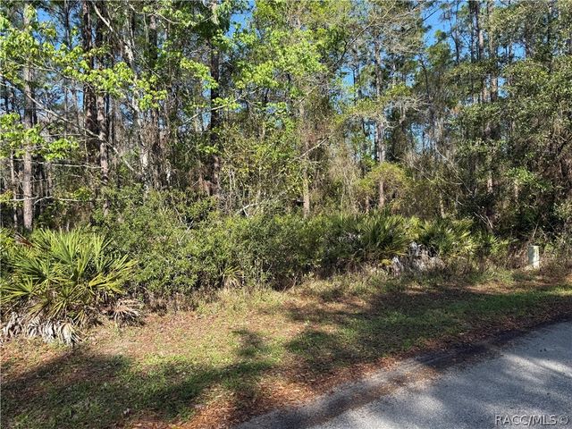 22 Mangrove Court N, Homosassa, FL 34446