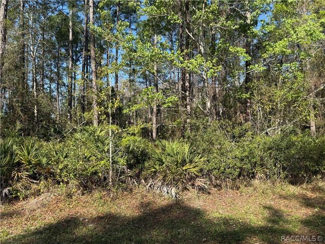 22 Mangrove Court N, Homosassa, FL 34446