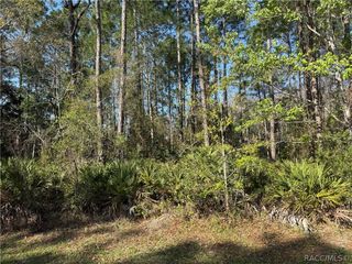 22 Mangrove Court N, Homosassa, FL 34446