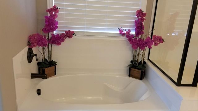 2248 E Ottawa Lane, Phoenix, AZ 85024