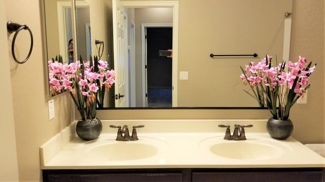 2248 E Ottawa Lane, Phoenix, AZ 85024