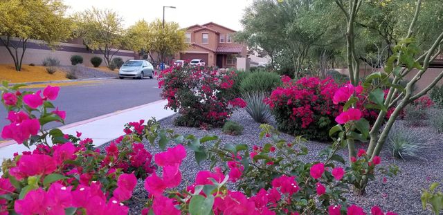 2248 E Ottawa Lane, Phoenix, AZ 85024