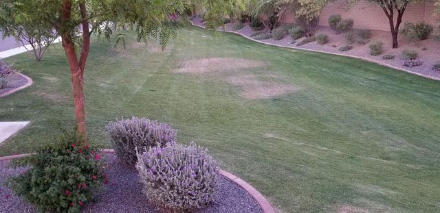 2248 E Ottawa Lane, Phoenix, AZ 85024