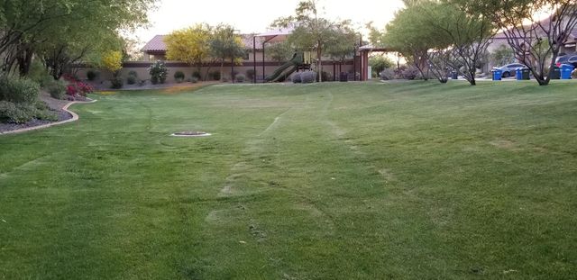 2248 E Ottawa Lane, Phoenix, AZ 85024