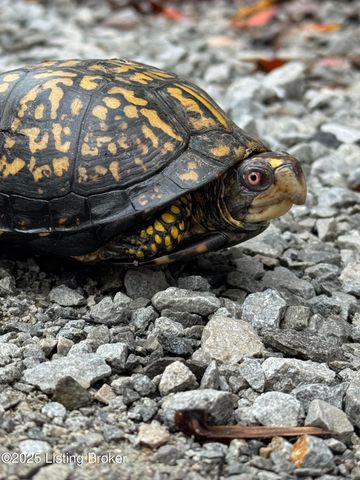 105 Conoloway Bay Dr, Clarkson, KY 42726