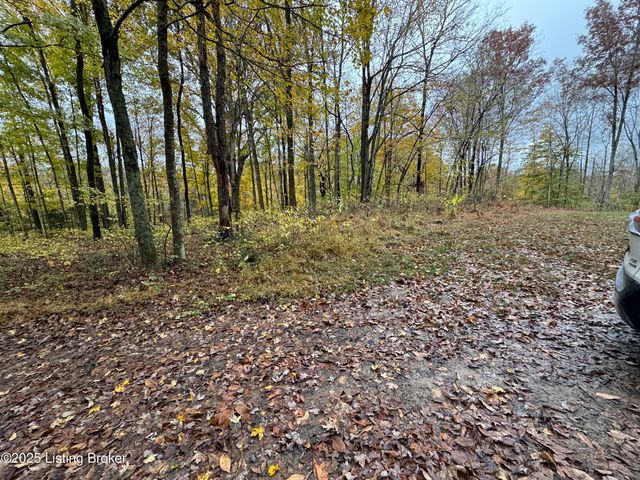 105 Conoloway Bay Dr, Clarkson, KY 42726