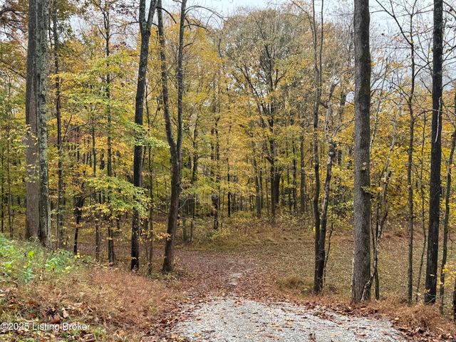 105 Conoloway Bay Dr, Clarkson, KY 42726