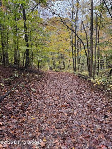 105 Conoloway Bay Dr, Clarkson, KY 42726