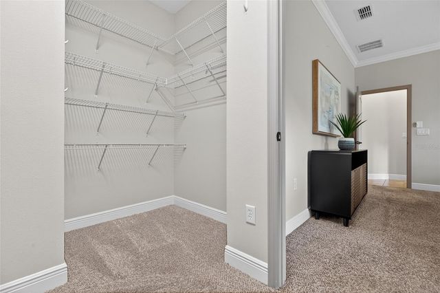 143 GRANDE VILLA DRIVE, Lutz, FL 33548