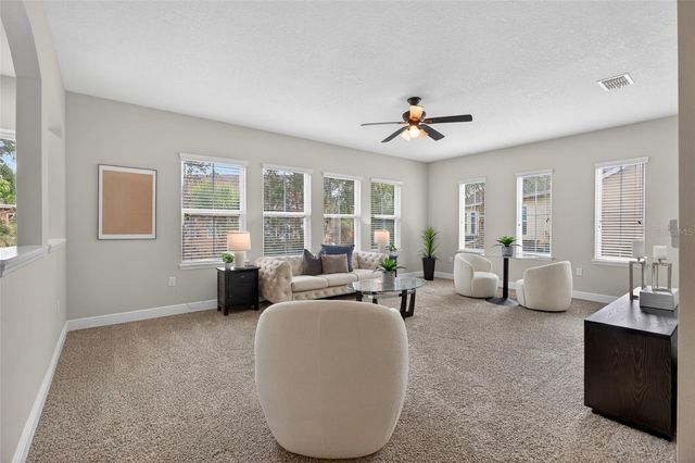 143 GRANDE VILLA DRIVE, Lutz, FL 33548