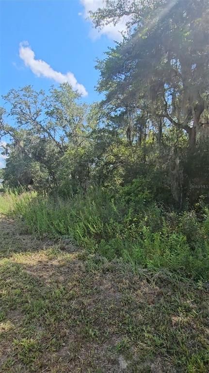 00 SW 92ND LANE, Ocala, FL 34476