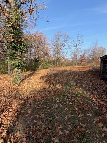 8651 County Road 3440, Mountain View, MO 65548