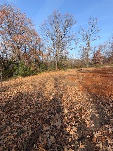 8651 County Road 3440, Mountain View, MO 65548