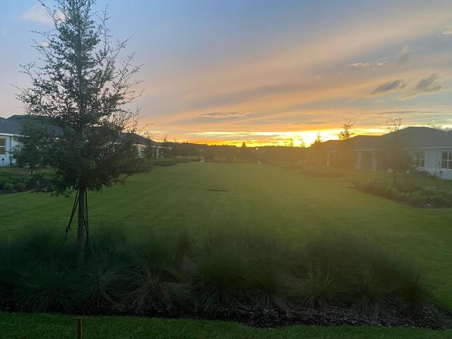 2477 BENDING BONSAI DRIVE, Wesley Chapel, FL 33543
