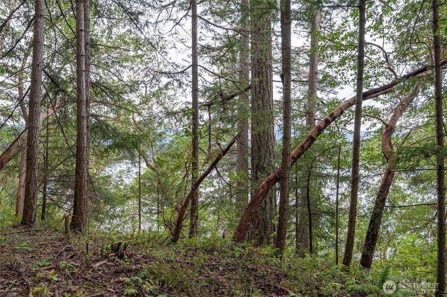 22311 Glenview Court SE, Yelm, WA 98597