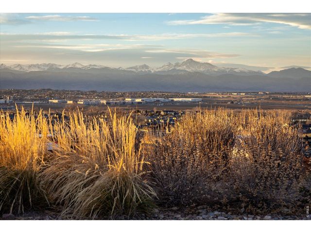 13725 Ash Cir, Brighton, CO 80602