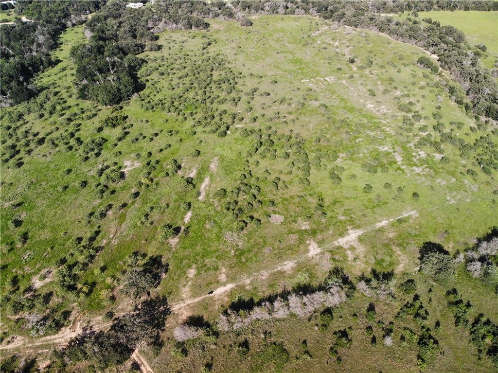 23.2218 Acres Fm 908, Caldwell, TX 77836 — photo 5